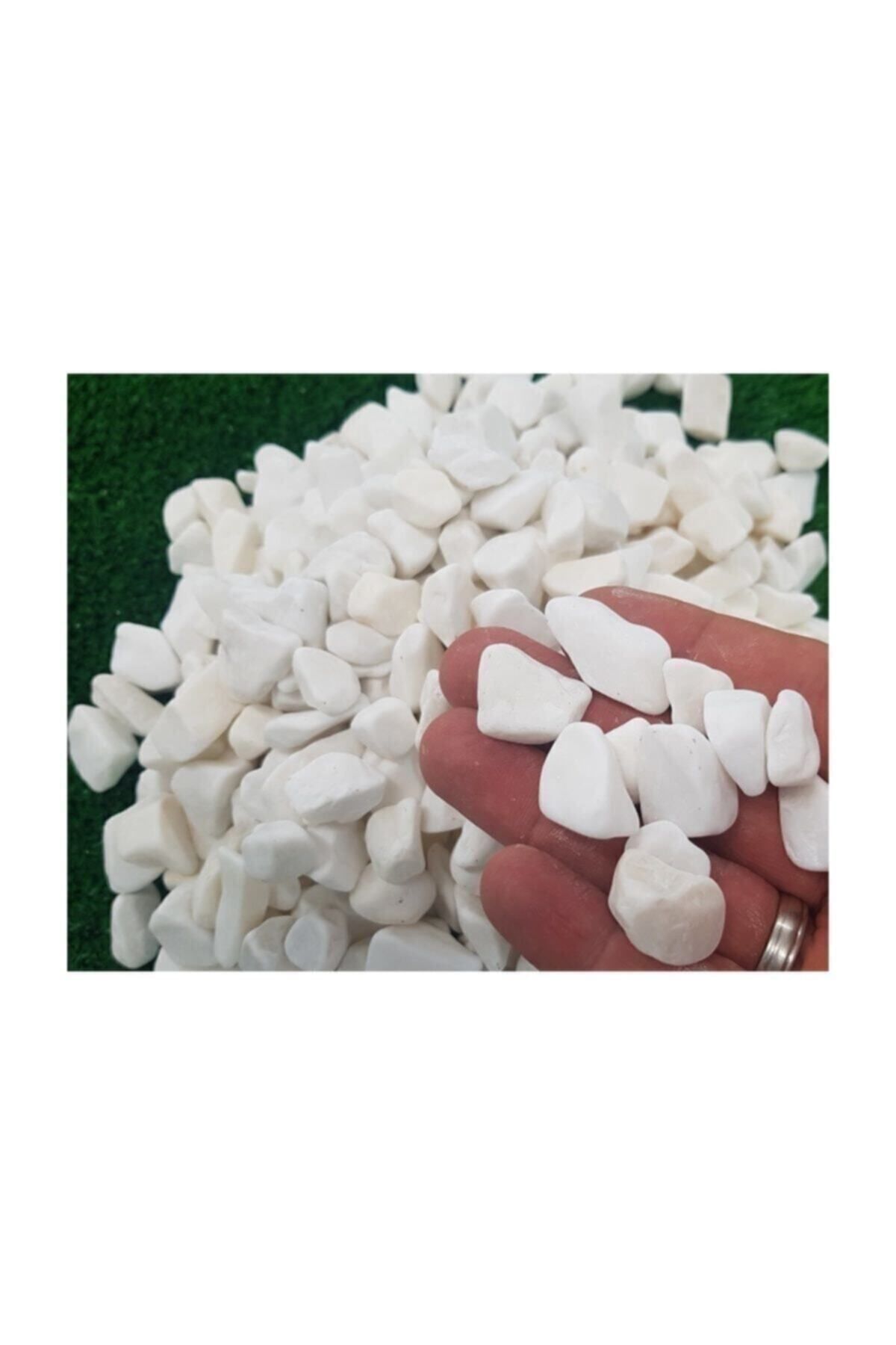 Beyaz Dolomit Taş 5 kg 1,5-2,5 cm Bahçe Taşı Dekoratif Taş Dere Taşı